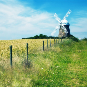 八木あずさ肉感在线观看
