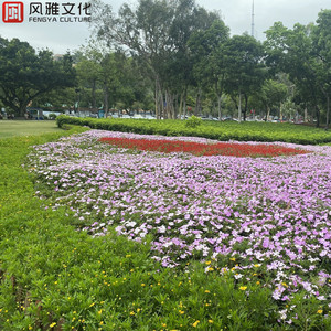 八木あずさ肉感在线观看
