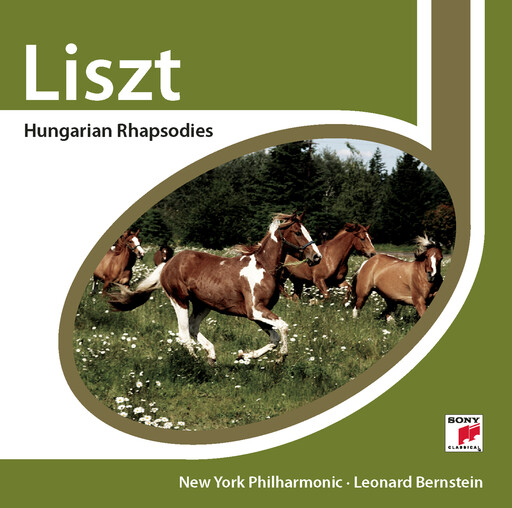 八木あずさ肉感在线观看
